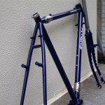 surly_travelers_check_navy[1]