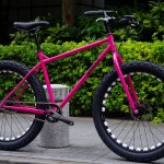 surly_1×1_pink[1]