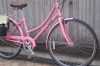 linus Dutchi-3 pink