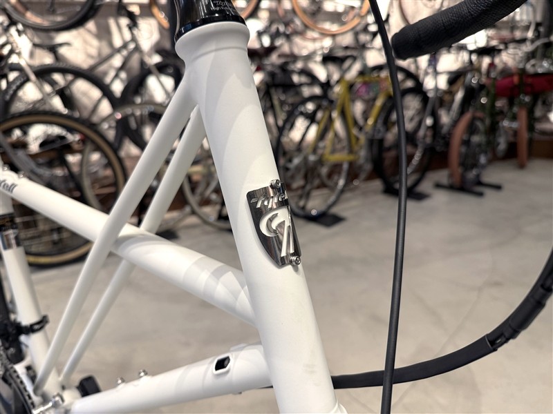 日本製折り畳み自転車 TYRELL "FCX"