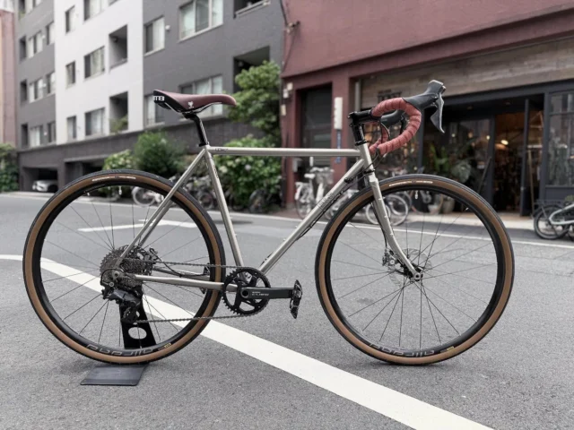Amazon.co.jp: tern 2022 Model SURGE PRO 52 20 Inch 20 Speed