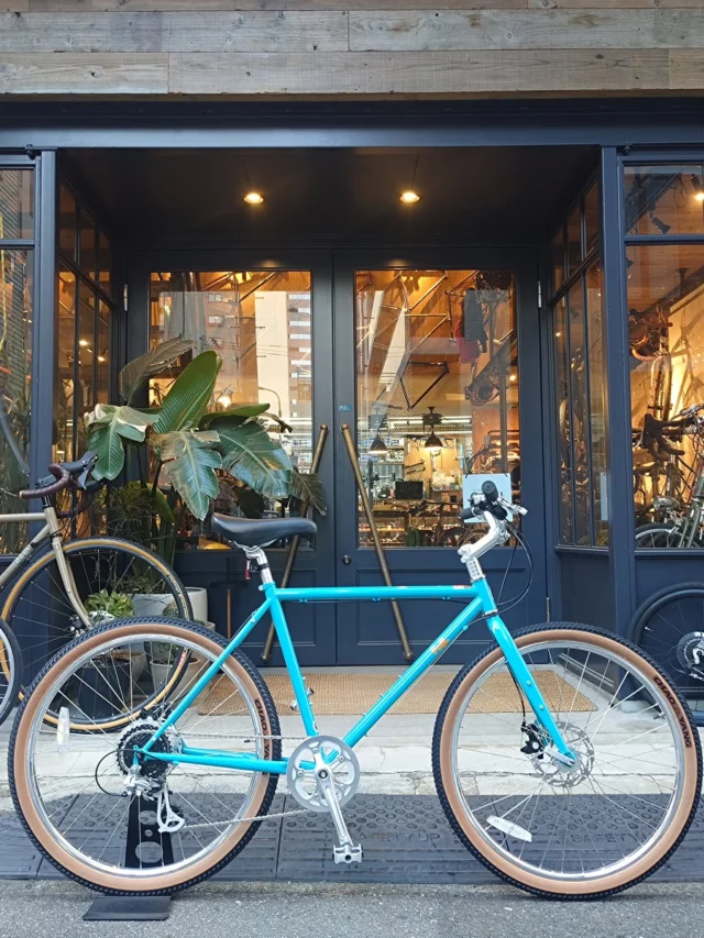 SURLY / ECR MOUNTAINE DROP サーリー | VelostyleTICKET